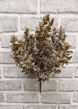 ITEM 11440 - 12" LIGHT BROWN BOXWOOD BUSH X 5
