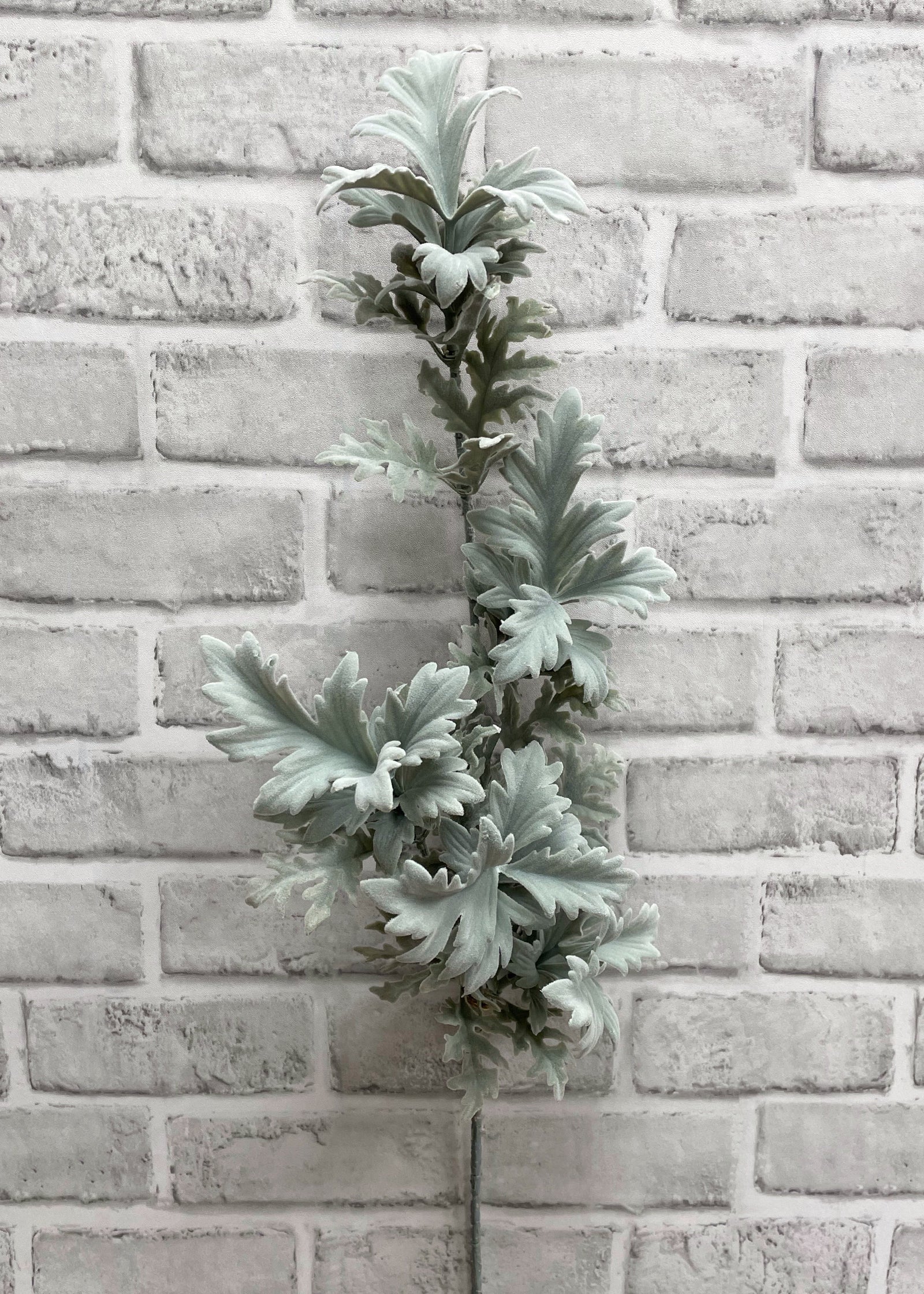 ITEM 11451 - 26" DUSTY MILLER LEAF SPRAY