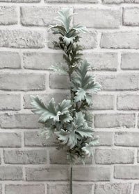 ITEM 11451 - 26" DUSTY MILLER LEAF SPRAY
