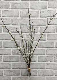ITEM 11452 - 21.5" PUSSY  WILLOW BUNDLE WITH 3 STEMS & 9 BRANCHES