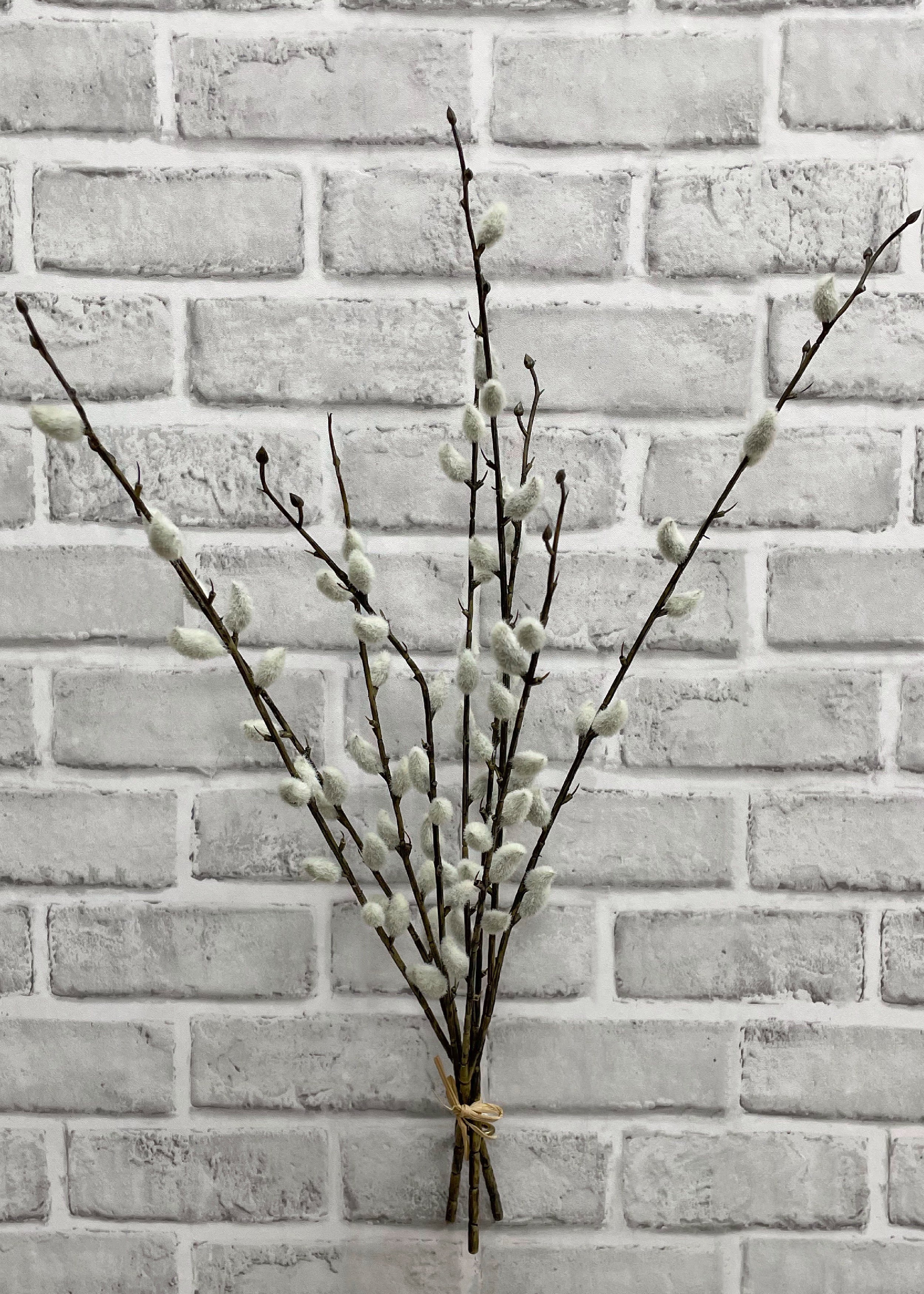 ITEM 11452 - 21.5" PUSSY  WILLOW BUNDLE WITH 3 STEMS & 9 BRANCHES
