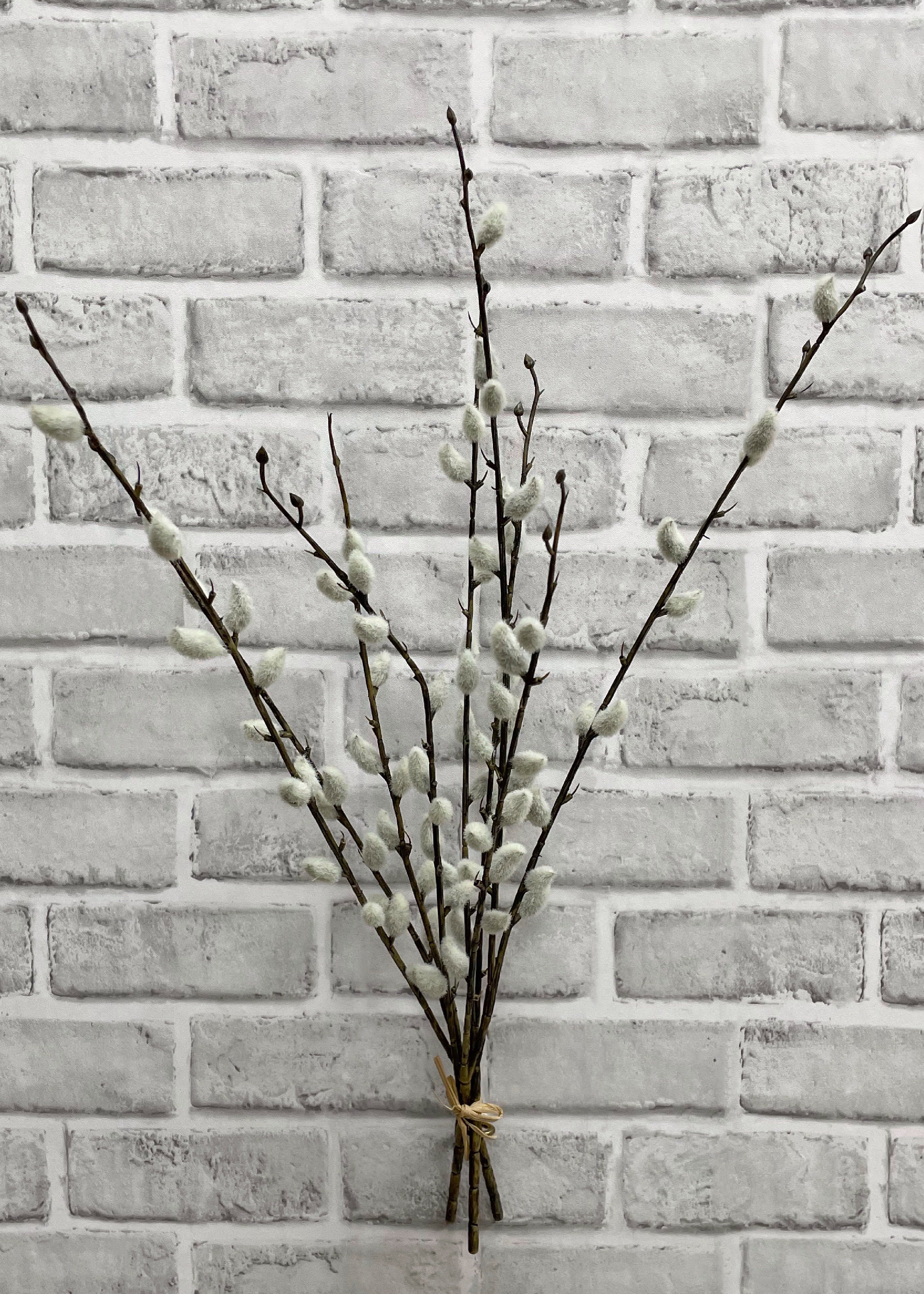 ITEM 11452 - 21.5" PUSSY  WILLOW BUNDLE WITH 3 STEMS & 9 BRANCHES