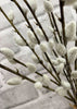 ITEM 11452 - 21.5" PUSSY  WILLOW BUNDLE WITH 3 STEMS & 9 BRANCHES
