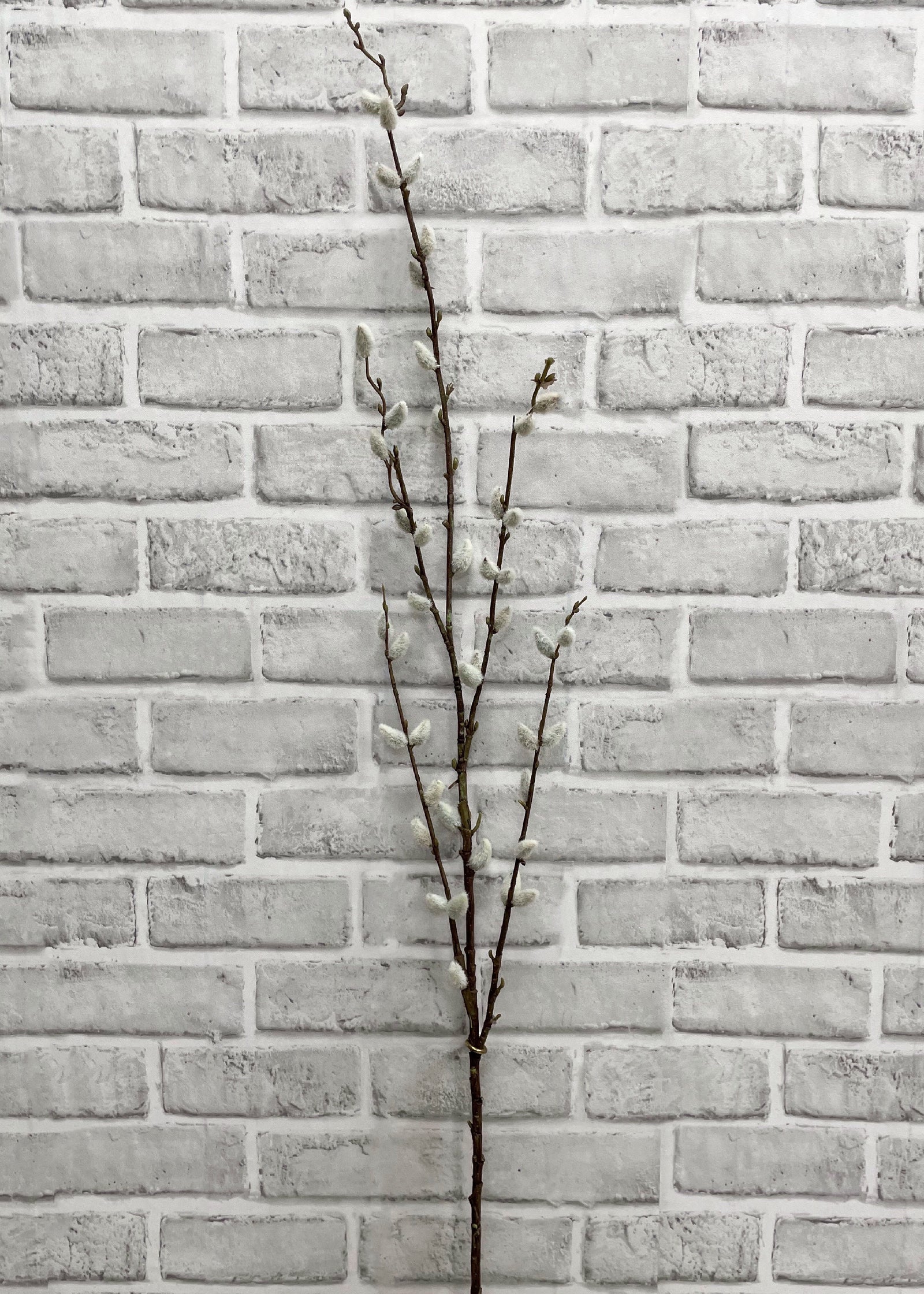 ITEM 11453 - 46" PUSSY WILLOW SPRAY
