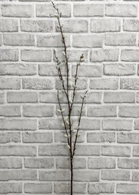 ITEM 11453 - 46" PUSSY WILLOW SPRAY
