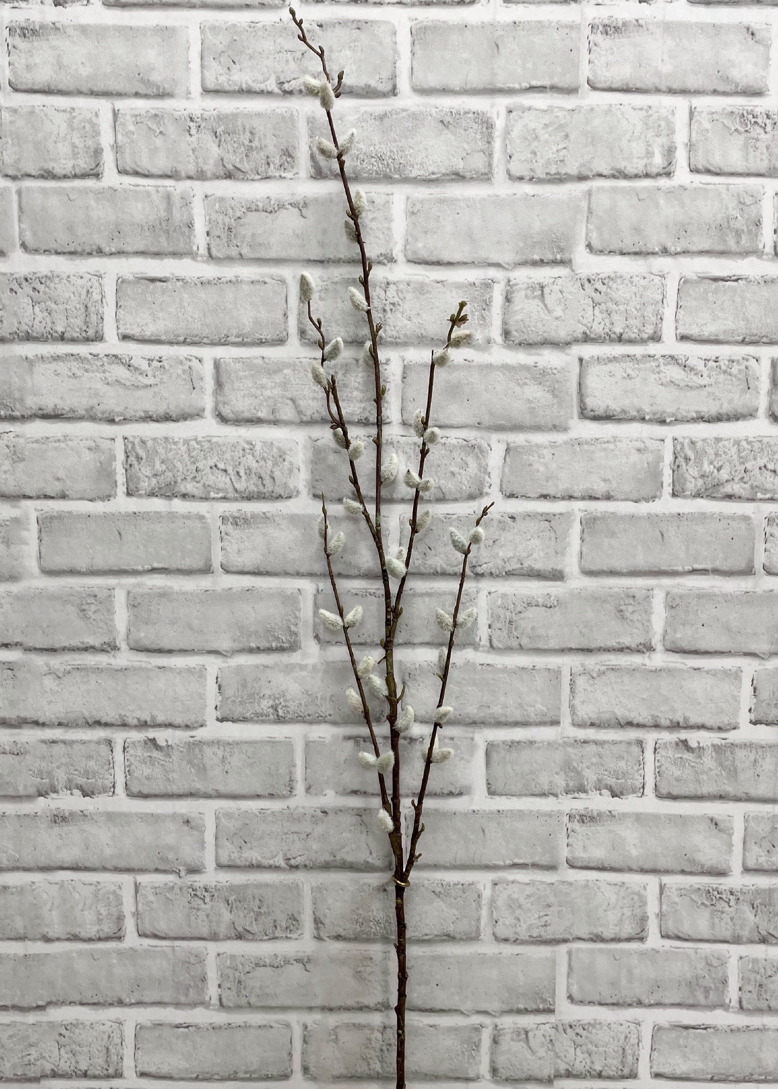 ITEM 11453 - 46" PUSSY WILLOW SPRAY
