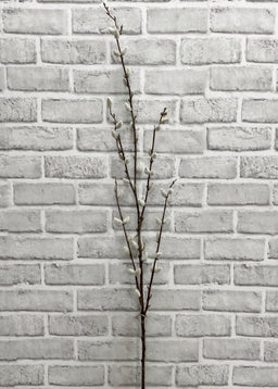 ITEM 11453 - 46" PUSSY WILLOW SPRAY