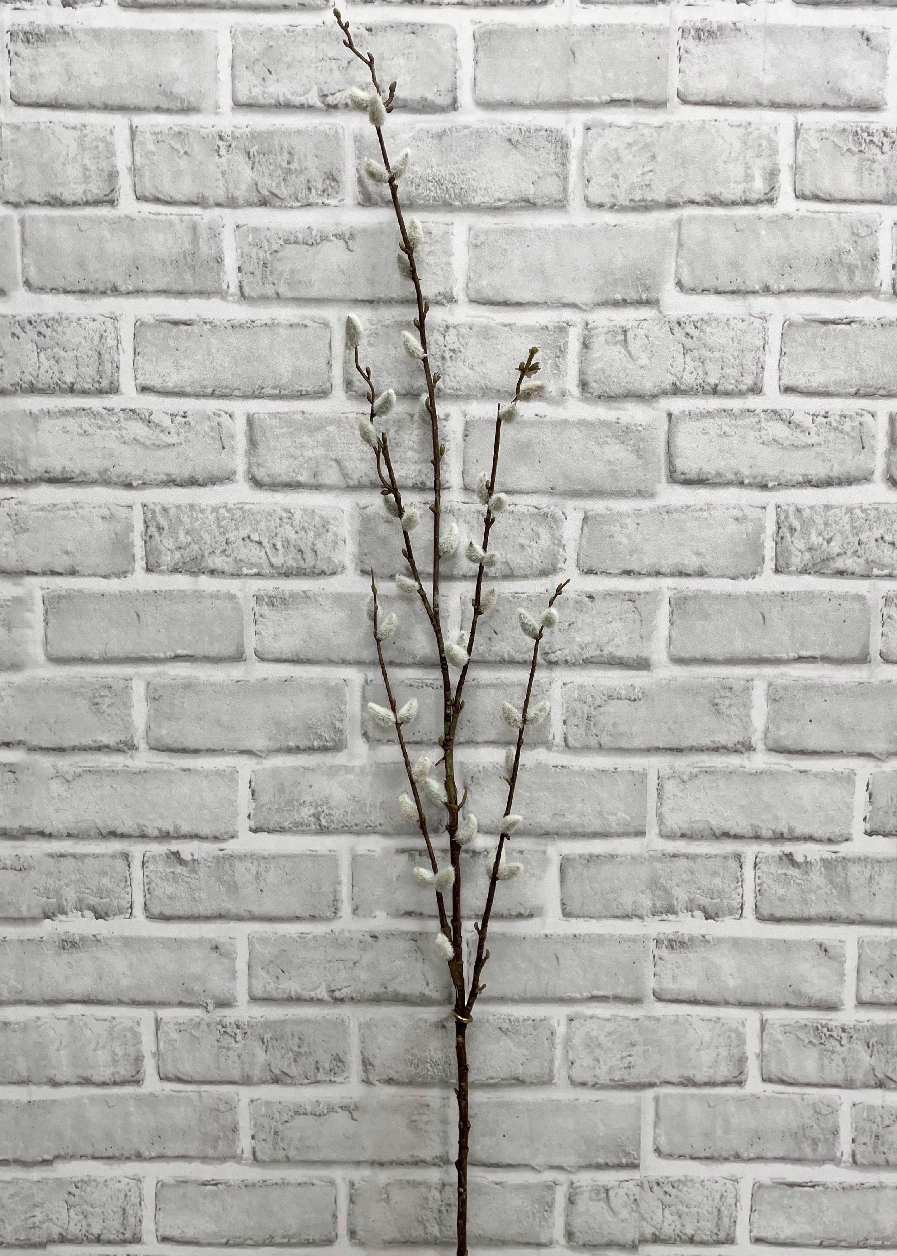 ITEM 11453 - 46" PUSSY WILLOW SPRAY
