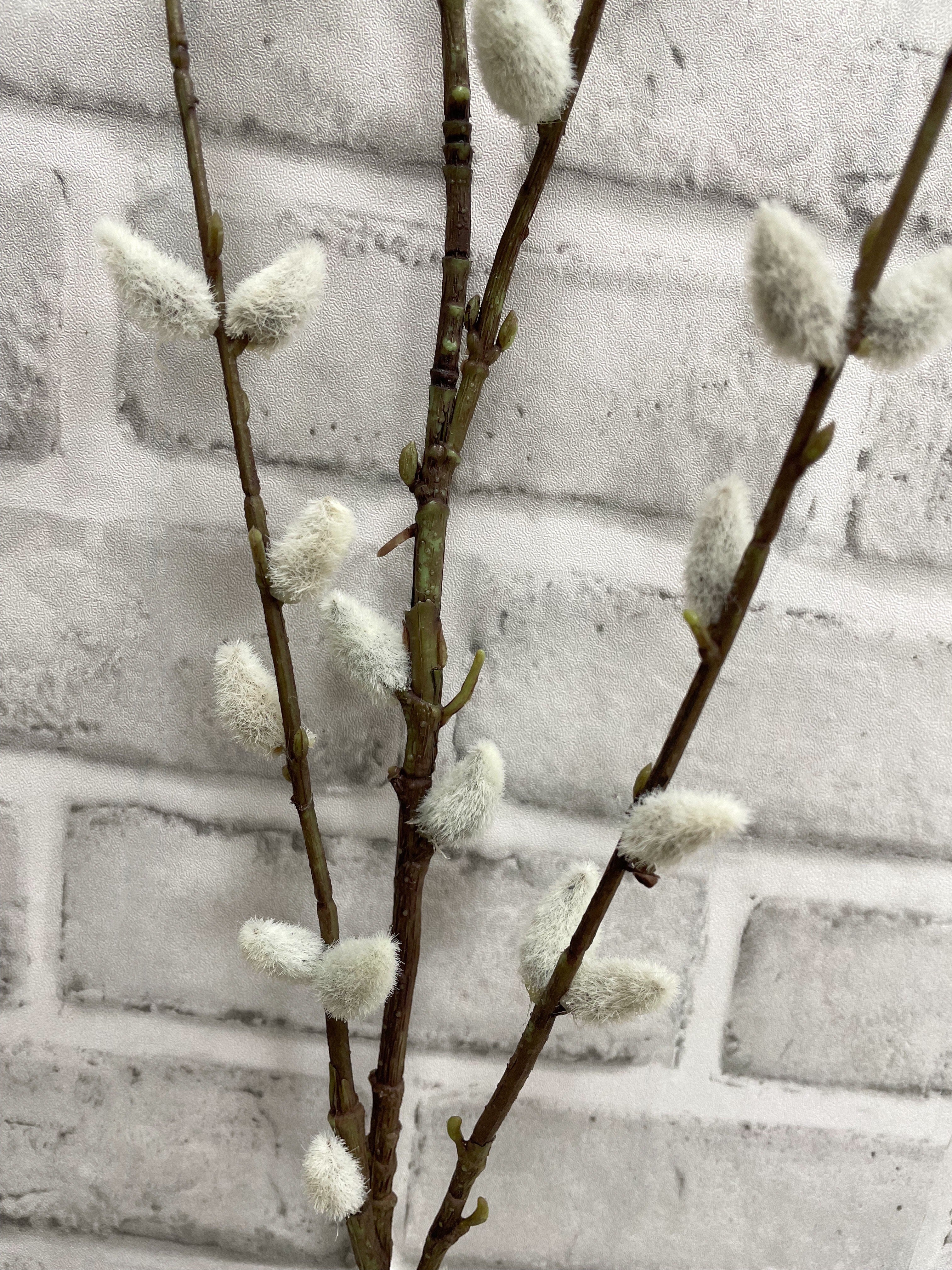 ITEM 11453 - 46" PUSSY WILLOW SPRAY