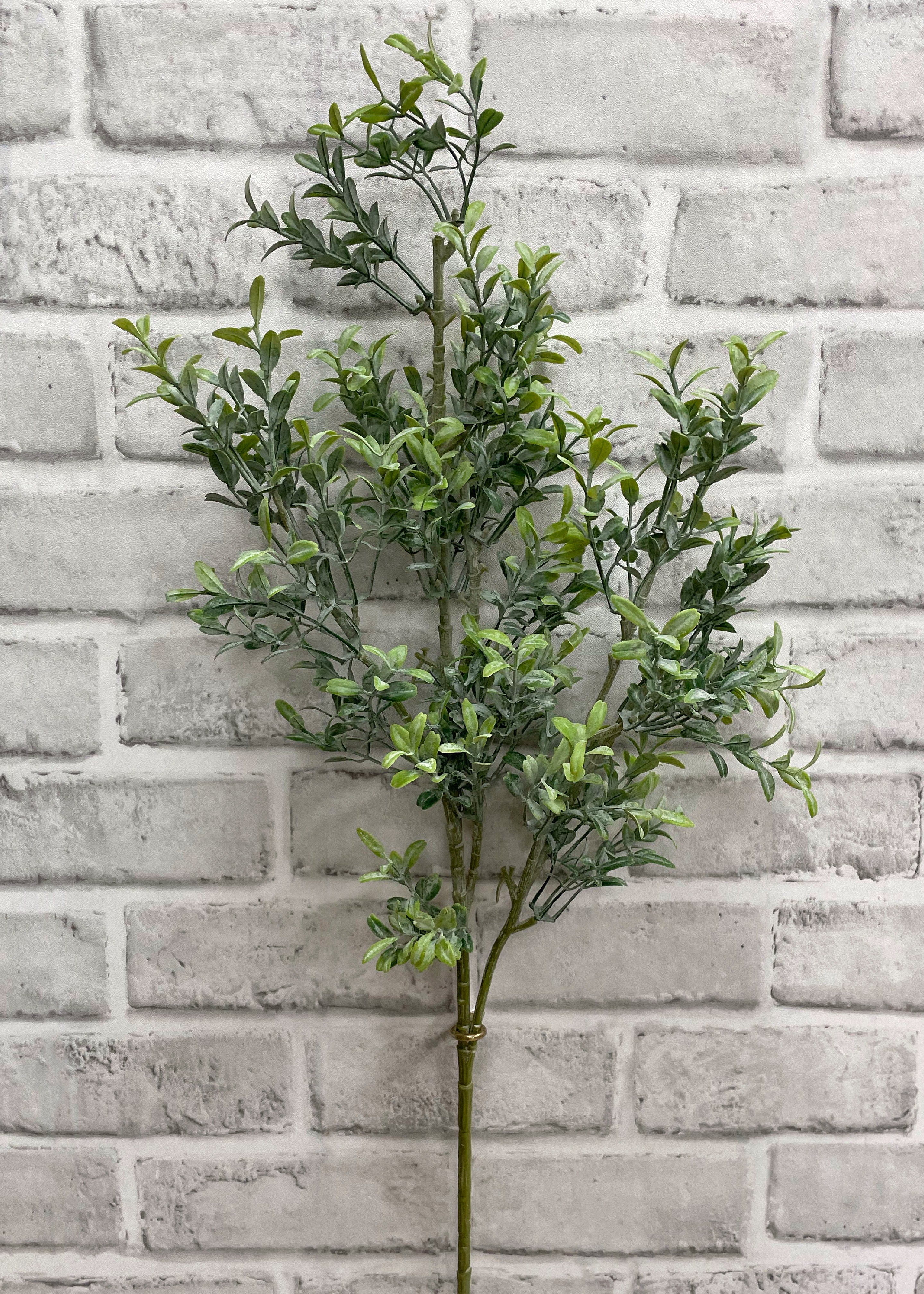 ITEM 11458 - 25.5" DUSTED MINI LEAF BOXWOOD SPRAY