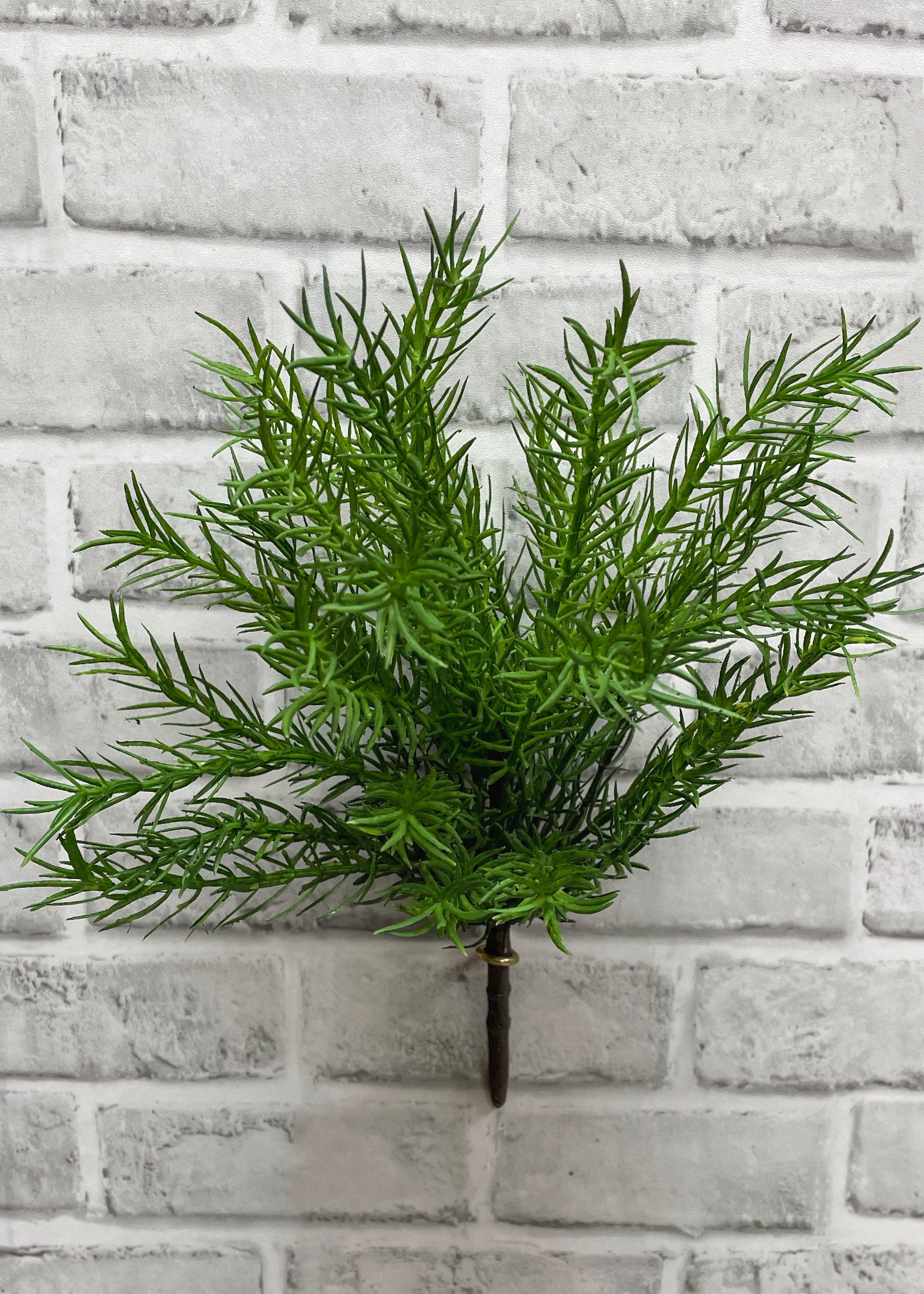 ITEM 11465 GR - 13.5" GREEN ASPARAGUS BUSH