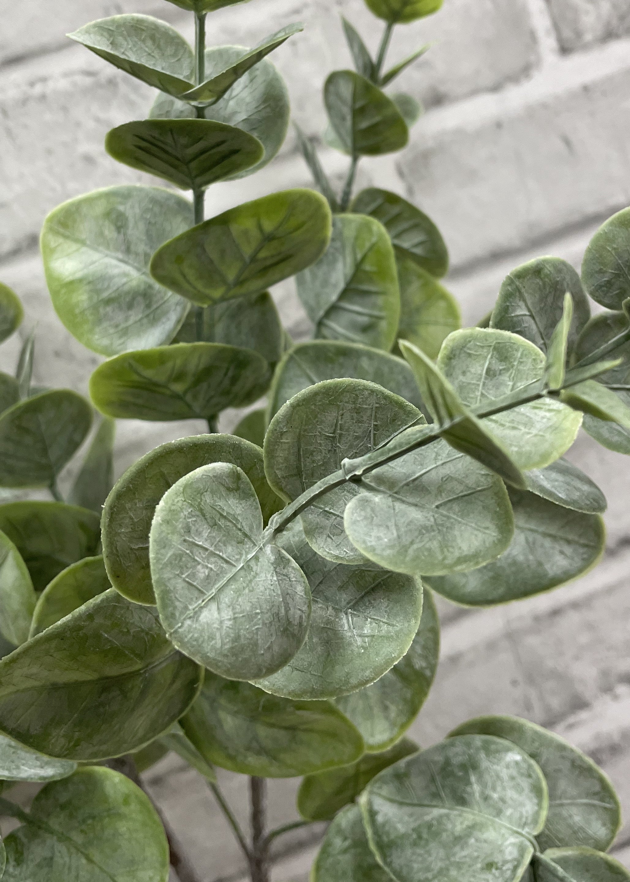 ITEM 11467 GR - 19" GREEN EUCALYPTUS BUSH