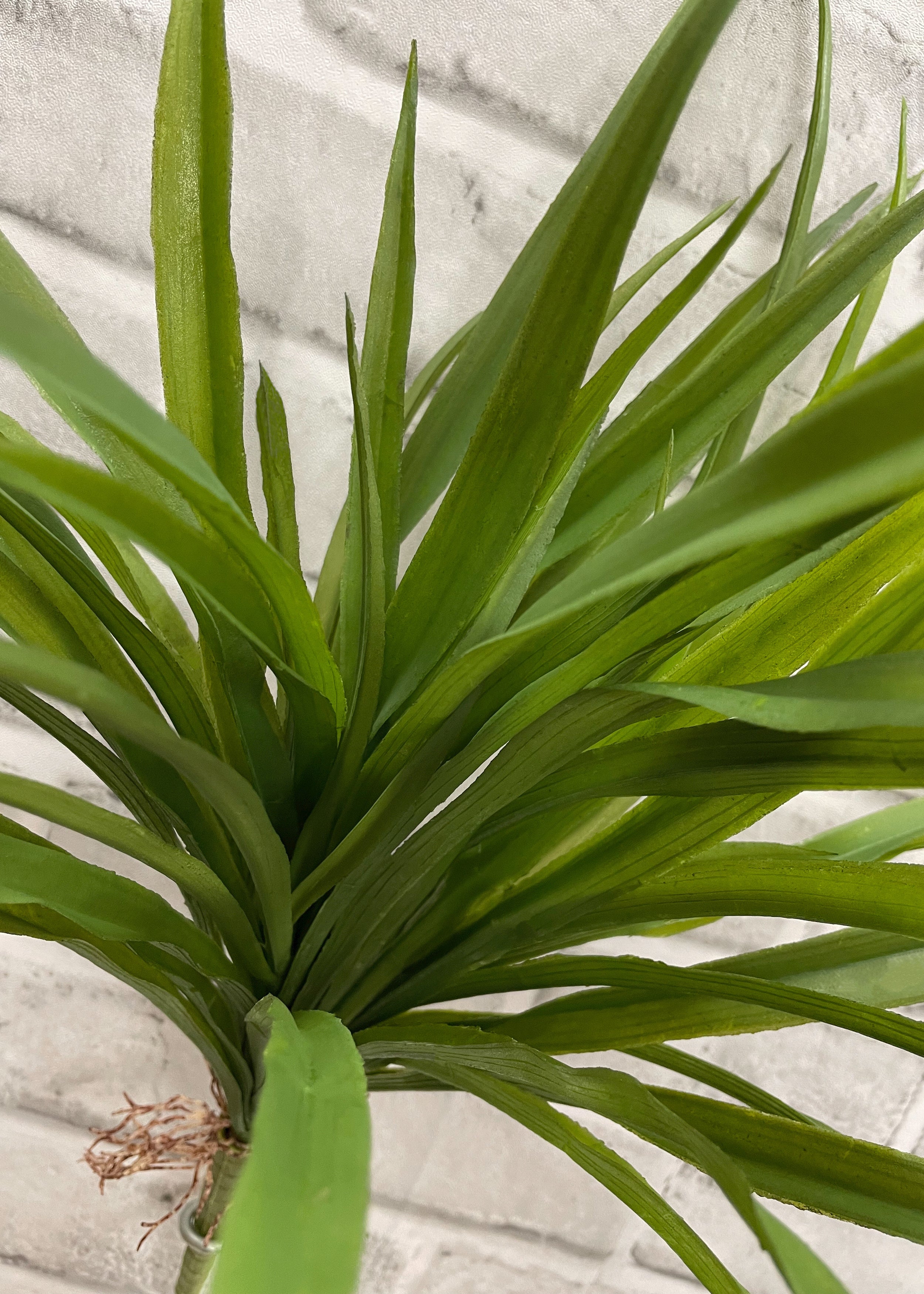 ITEM 11468  - 15" GREEN GRASS BUSH X 54 WITH ROOTS