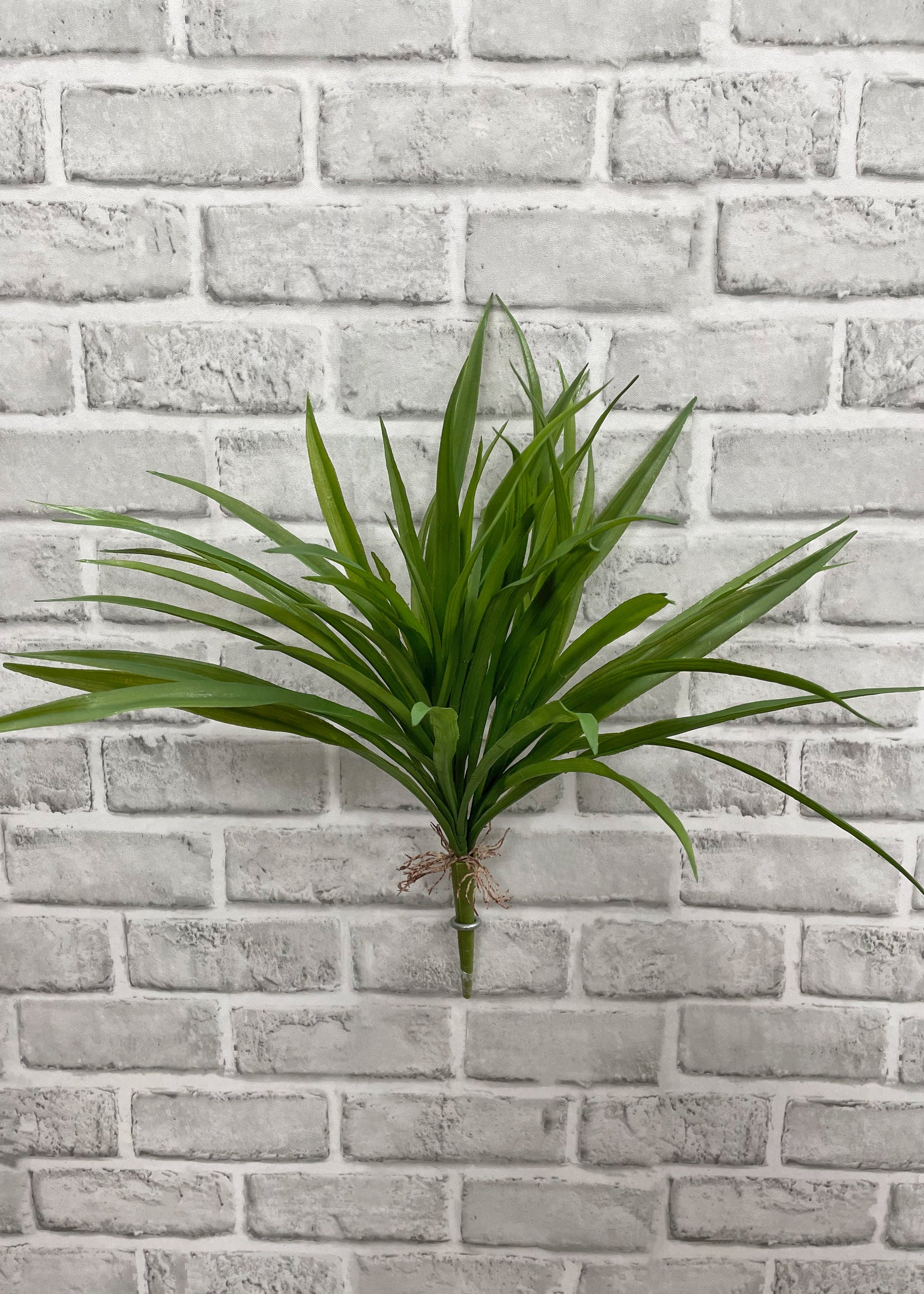 ITEM 11468  - 15" GREEN GRASS BUSH X 54 WITH ROOTS