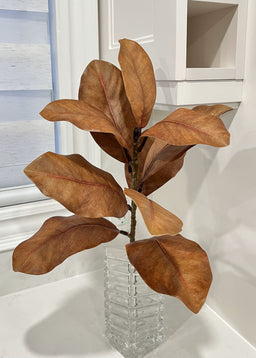 ITEM 11481 BROWN - 22" BROWN MAGNOLIA SPRAY