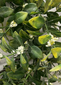 ITEM 11497 - 6.5" INSIDE DIM, 15" OUTSIDE DIM, ORANGE JASMINE WREATH