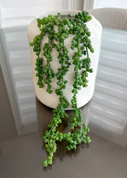 ITEM 11515GR - 19" GREEN FRESH TOUCH NUT SUCCULENT VINE