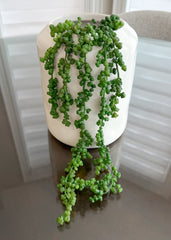 ITEM 11515GR - 19" GREEN FRESH TOUCH NUT SUCCULENT VINE