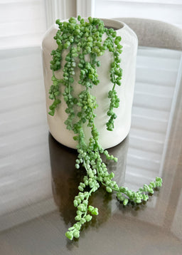 ITEM 11515GYGR - 19" GREY GREEN FRESH TOUCH NUT SUCCULENT VINE