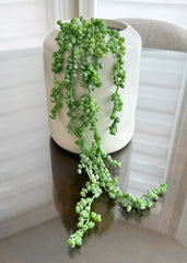 ITEM 11515GYGR - 19" GREY GREEN FRESH TOUCH NUT SUCCULENT VINE