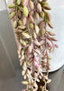 ITEM 11516PURGR - 35" FRESH TOUCH PUR GREEN SUCCULENT SEED VINE X5