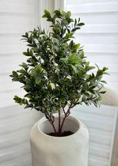 ITEM 11529GR - 16" UV TREATED BOXWOOD SPRAY