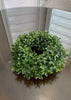 ITEM 11531GR - 5" IN DIM, 11.5" OUTSIDE DIM UV BOXWOOD CANDLERING