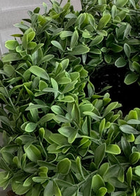 ITEM 11531GR - 5" IN DIM, 11.5" OUTSIDE DIM UV BOXWOOD CANDLERING