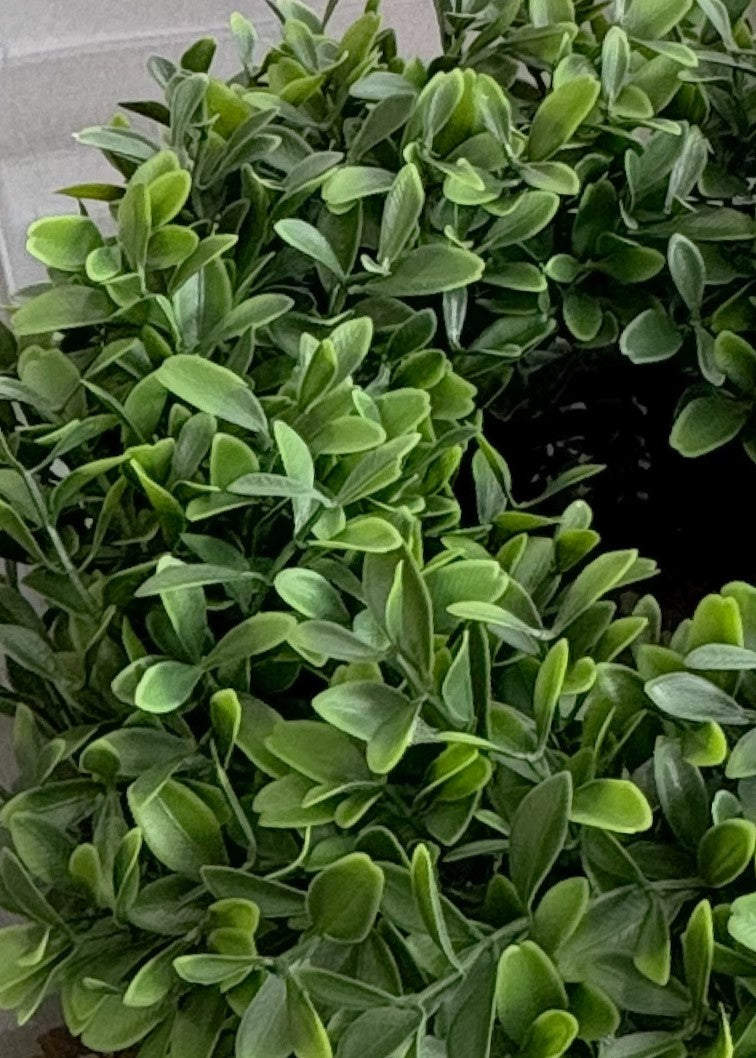 ITEM 11531GR - 5" IN DIM, 11.5" OUTSIDE DIM UV BOXWOOD CANDLERING