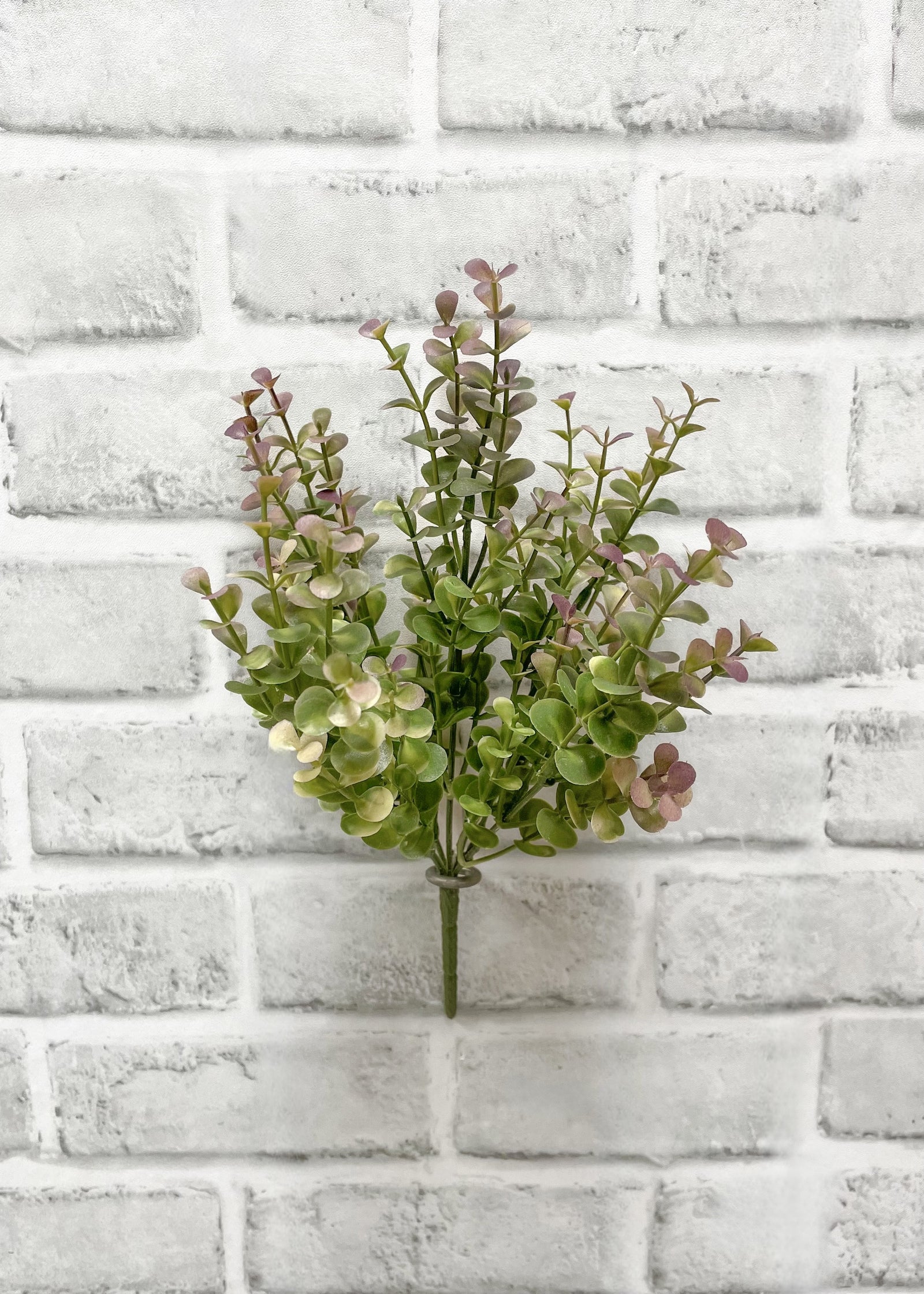 ITEM 11540  - 10" BURGUNDY GREEN EUCALYPTUS BUSH