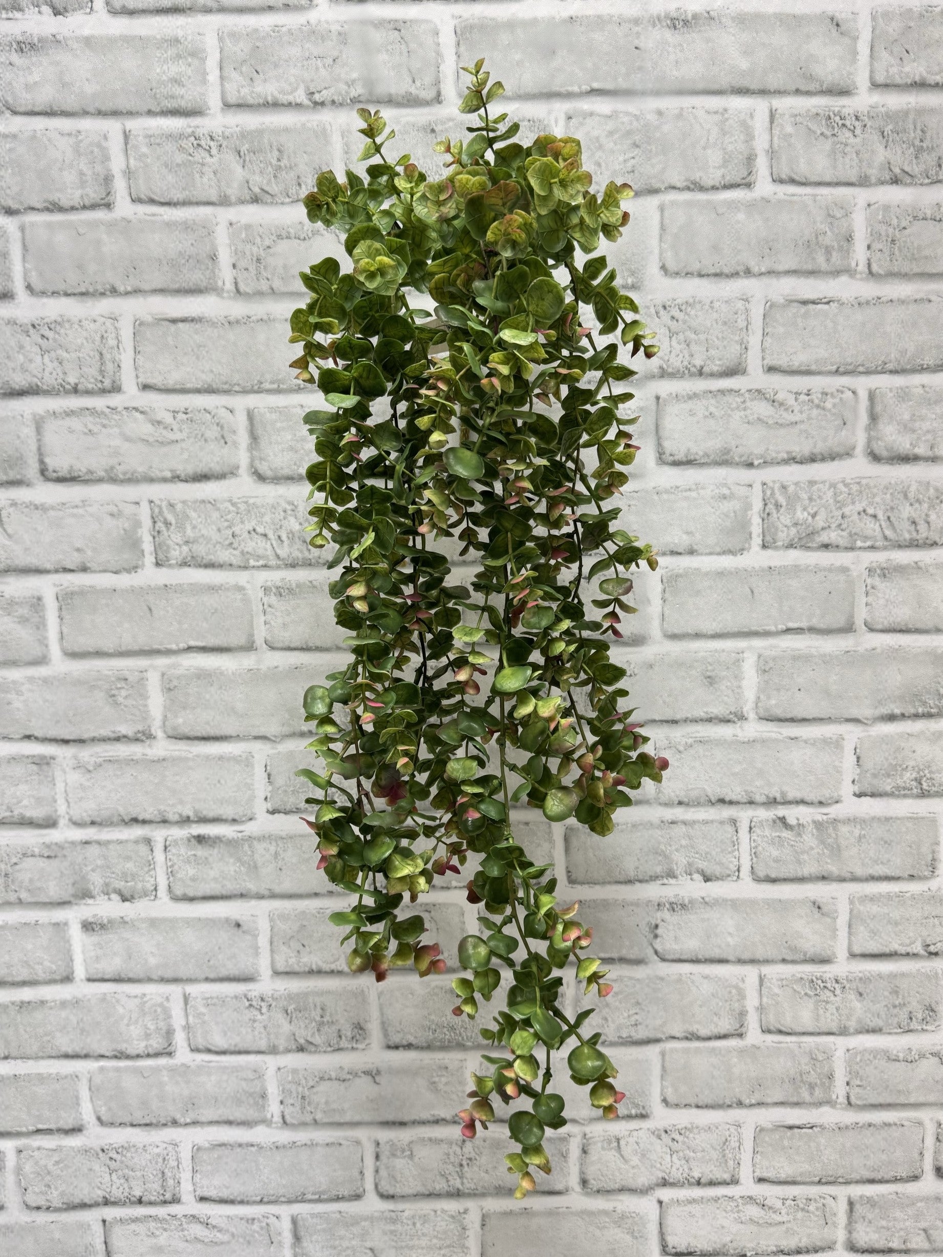 ITEM 11541  - 24" BURGUNDY GREEN HANGING EUCALYPTUS BUSH