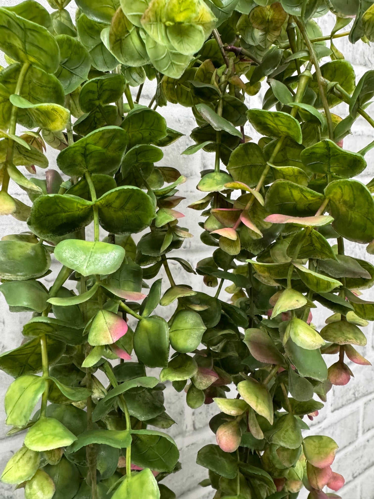 ITEM 11541  - 24" BURGUNDY GREEN HANGING EUCALYPTUS BUSH