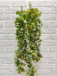 ITEM 11541  - 24" BURGUNDY GREEN HANGING EUCALYPTUS BUSH