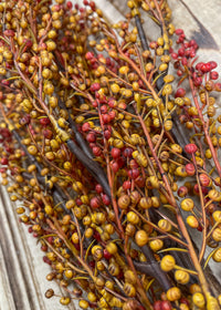 ITEM 11543 FALL  - 18" FALL PEPPERBERRIES BUSH