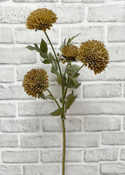 ITEM 11545 BRGR  - 26" BROWN GREEN SCABIOUS SPRAY
