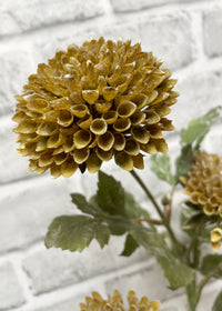 ITEM 11545 BRGR  - 26" BROWN GREEN SCABIOUS SPRAY