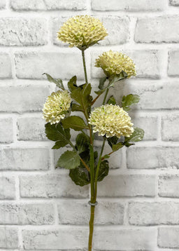 ITEM 11545 CM  - 26" CREAM SCABIOUSA SPRAY