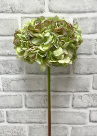 ITEM 11547 GR  - 23" GREEN DRIED LOOK HYDRANGEA STEM