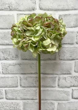 ITEM 11547 GR  - 23" GREEN DRIED LOOK HYDRANGEA STEM