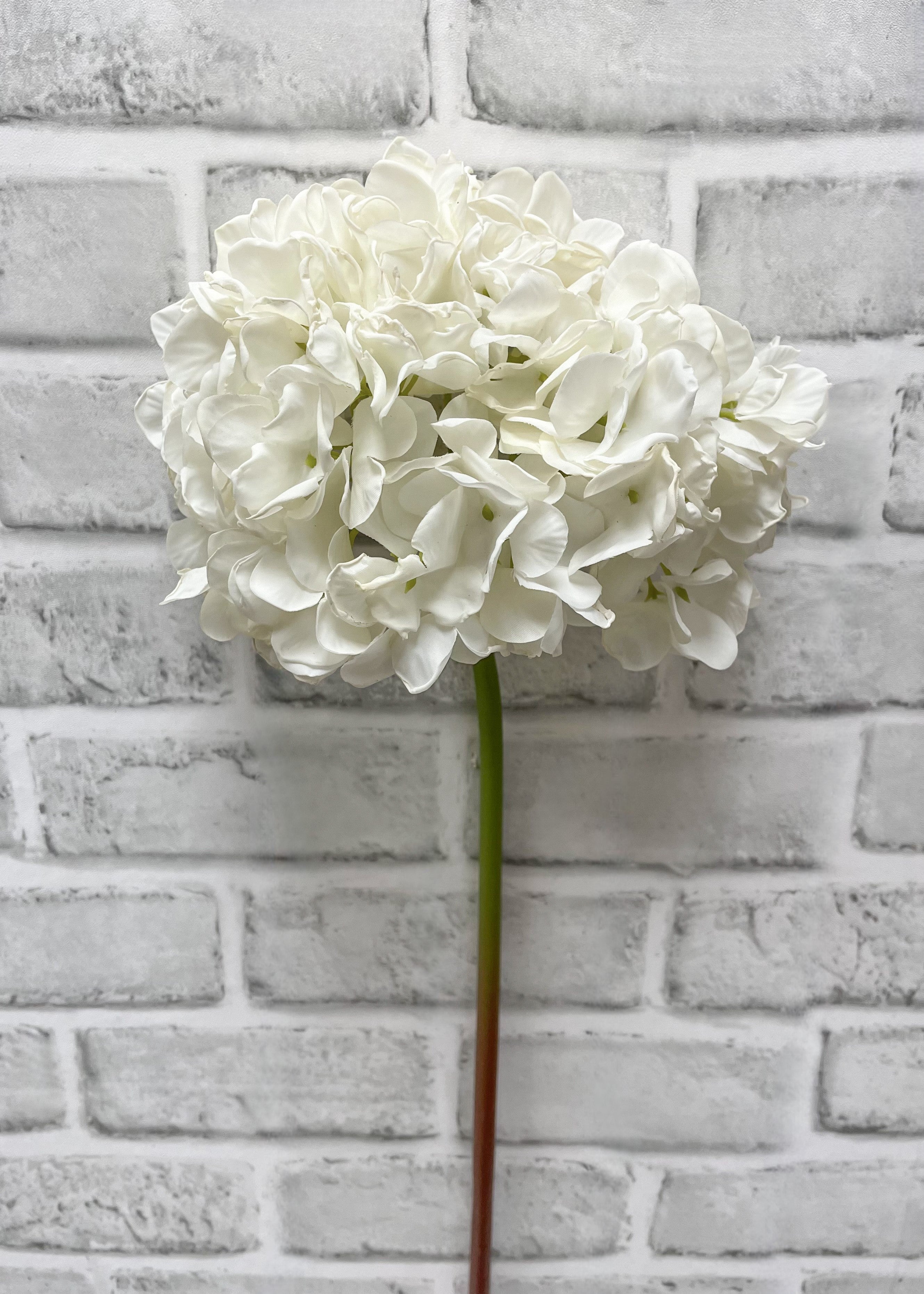 ITEM 11547 W  - 23" WHITE DRIED LOOK HYDRANGEA STEM