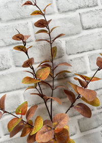 ITEM 11553 FALL  - 38" FALL EUCALYPTUS SPRAY