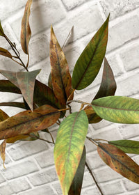 ITEM 11555 GRBR  - 45" GREEN BROWN WILLOW EUCALYPTUS LEAF SPRAY