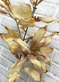 ITEM 11556 CM  - 38" CREAM DRIED LOOK LEAVES SPRAY