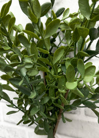 ITEM 11561  - 28" TEA LEAF BUNDLE - 3 PIECES PER BUNDLE