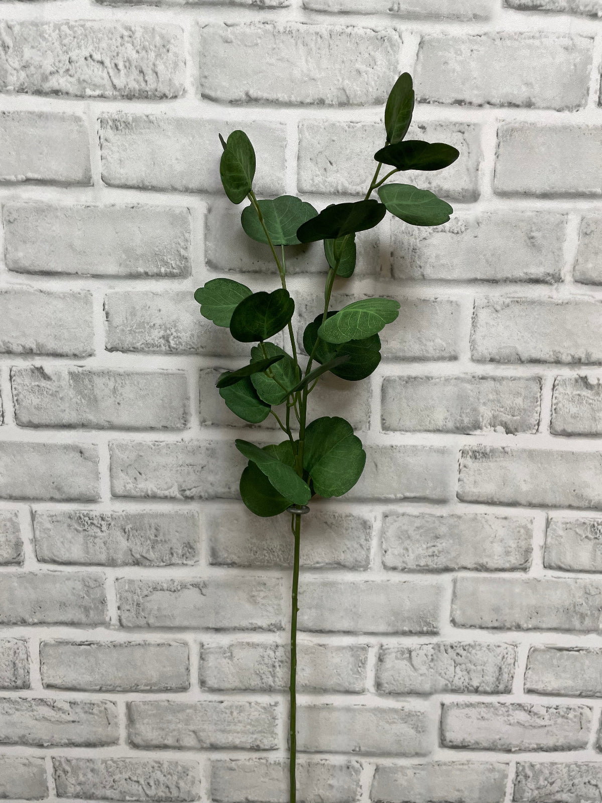 ITEM 11566 - 26.5" FRESH TOUCH EUCALYPTUS SPRAY