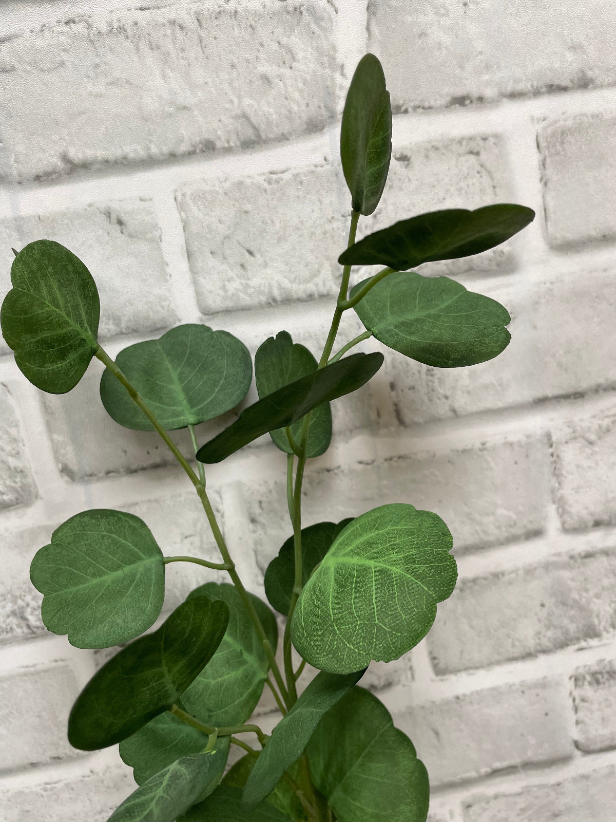 ITEM 11566 - 26.5" FRESH TOUCH EUCALYPTUS SPRAY