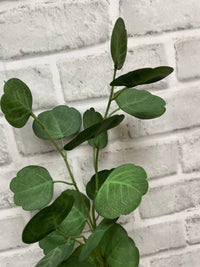 ITEM 11566 - 26.5" FRESH TOUCH EUCALYPTUS SPRAY