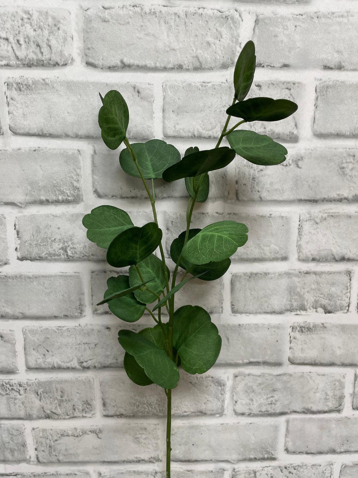 ITEM 11566 - 26.5" FRESH TOUCH EUCALYPTUS SPRAY