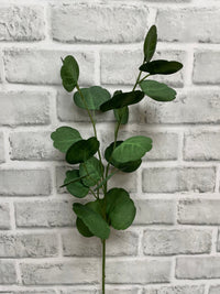 ITEM 11566 - 26.5" FRESH TOUCH EUCALYPTUS SPRAY