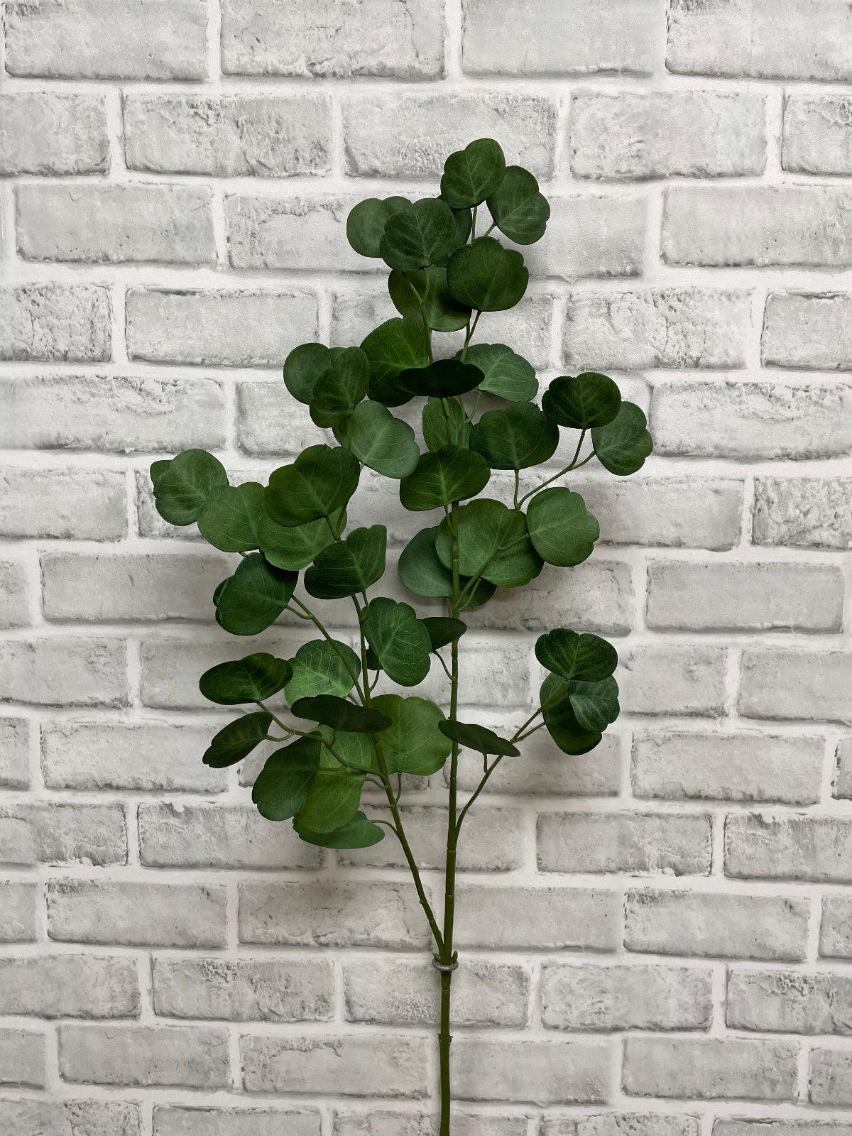 ITEM 11567 - 39" FRESH TOUCH EUCALYPTUS SPRAY